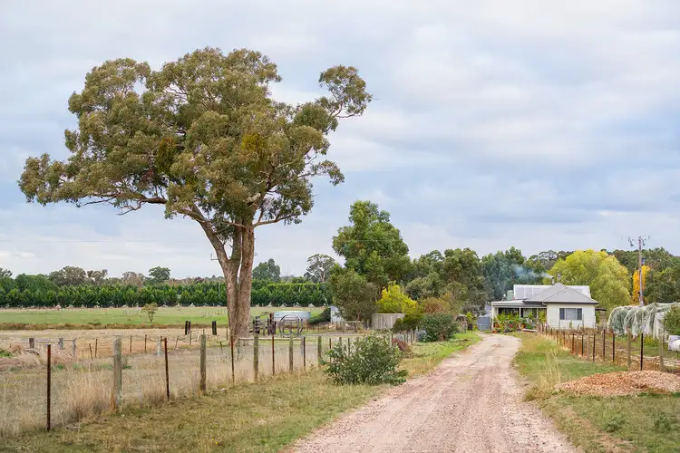 Main view of Homely rural property listing, 93 Fryes Road, Elphinstone VIC 3448