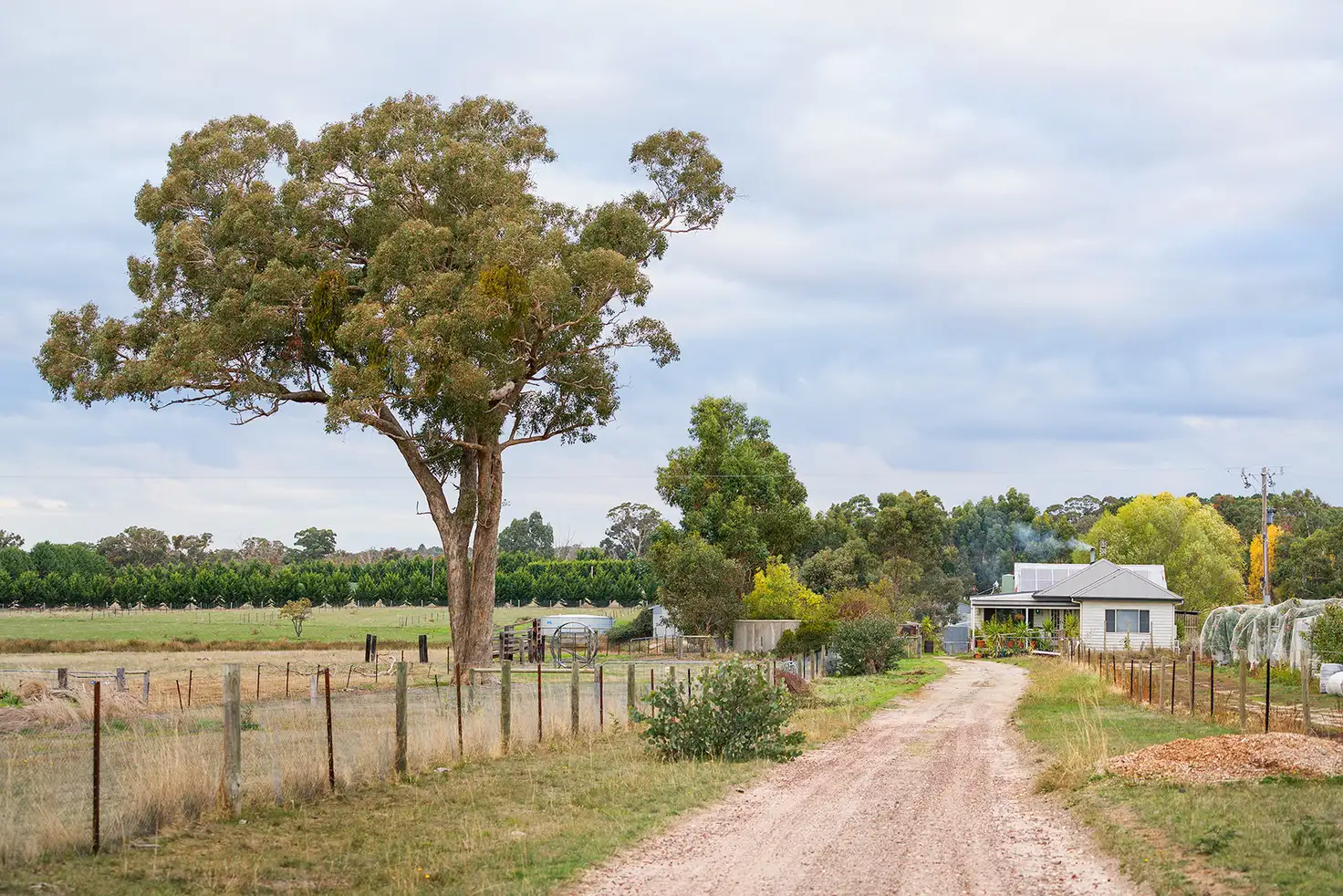 Main view of Homely rural property listing, 93 Fryes Road, Elphinstone VIC 3448