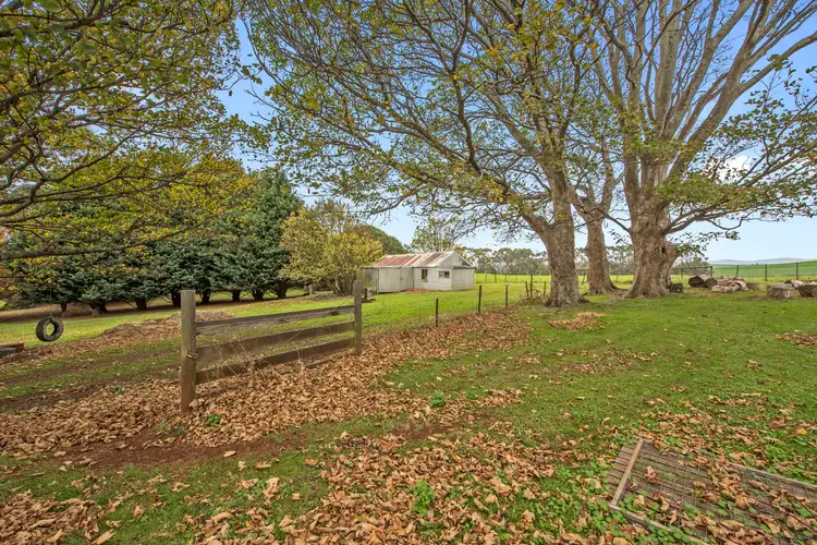 Third view of Homely house listing, 16901 Bass Highway, Flowerdale TAS 7325