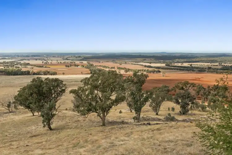 Fifth view of Homely land listing, LOT 2/68 Hamblin Road, Toolleen VIC 3551