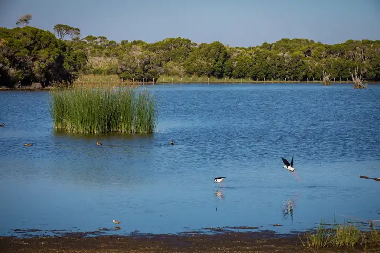 Fifth view of Homely rural property listing, "Leighton Farm" 114 Youngs Road, Tilba Tilba NSW 2546