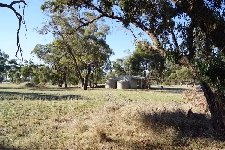 Main view of Homely rural property listing, 593 Horsham-Noradjuha Road, Lower Norton VIC 3401