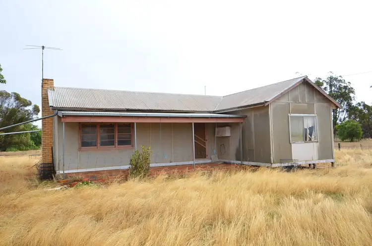 Main view of Homely rural property listing, 82 Auvergne Road, Marnoo VIC 3387