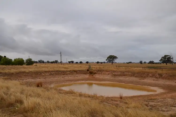 Third view of Homely rural property listing, 82 Auvergne Road, Marnoo VIC 3387