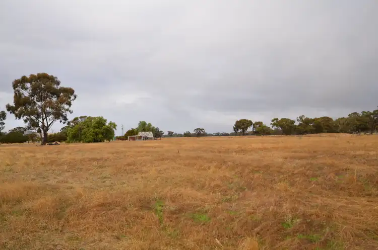 Fourth view of Homely rural property listing, 82 Auvergne Road, Marnoo VIC 3387