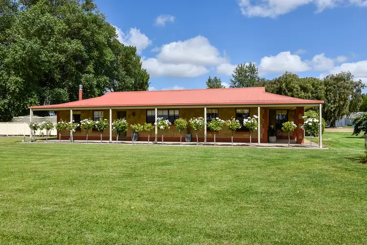 Second view of Homely house listing, 116 Mount Burr Road, Millicent SA 5280