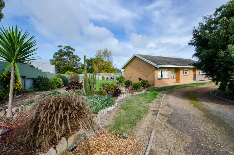 Main view of Homely house listing, 119 Williams Road, Millicent SA 5280