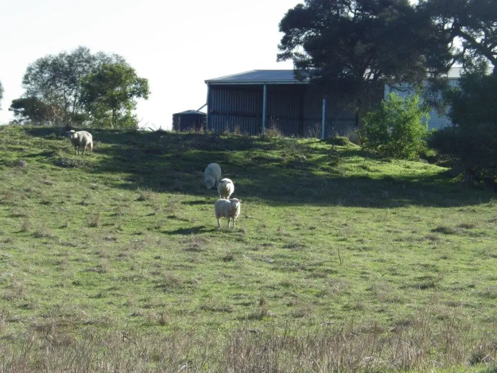 Main view of Homely land listing, 10 Greenhill Road, Hatherleigh SA 5280