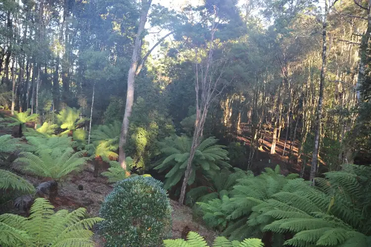 Second view of Homely rural property listing, 22 Tierneys Road, Mengha TAS 7330