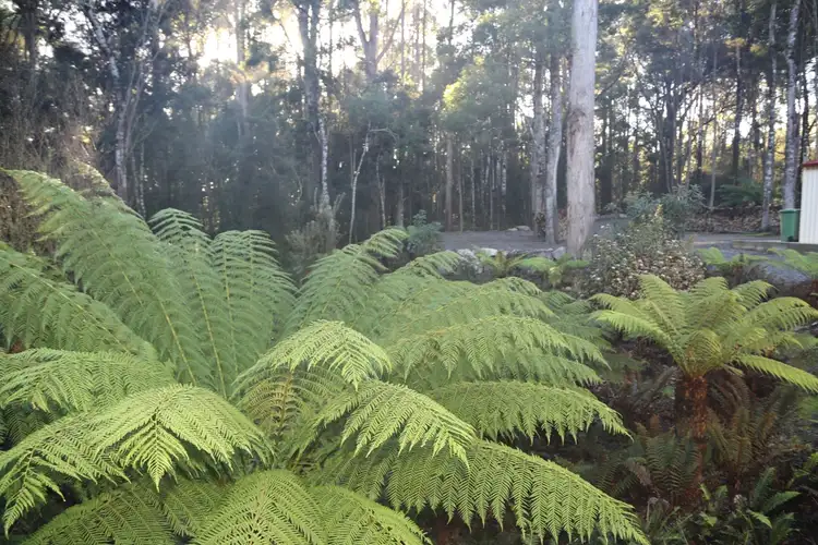 Fourth view of Homely rural property listing, 22 Tierneys Road, Mengha TAS 7330