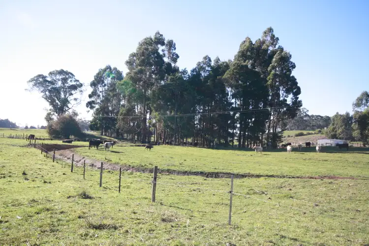 Fourth view of Homely land listing, 25 Lennah Drive, Wynyard TAS 7325
