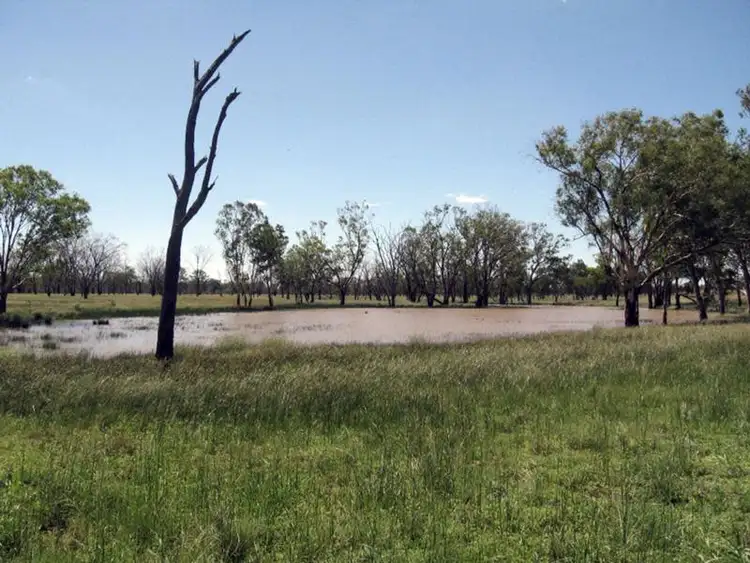 Sixth view of Homely rural property listing, 421 Oberina Road, Roma QLD 4455