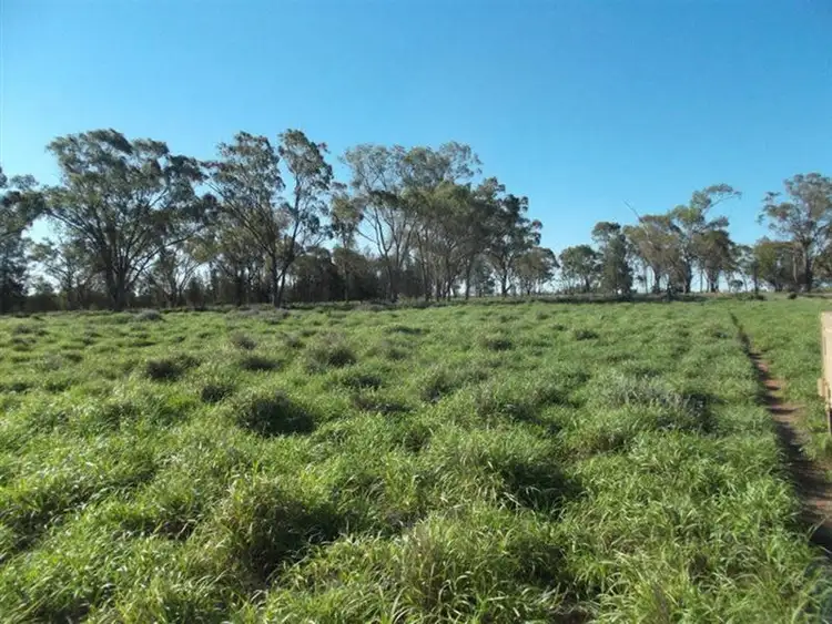 Seventh view of Homely rural property listing, 421 Oberina Road, Roma QLD 4455