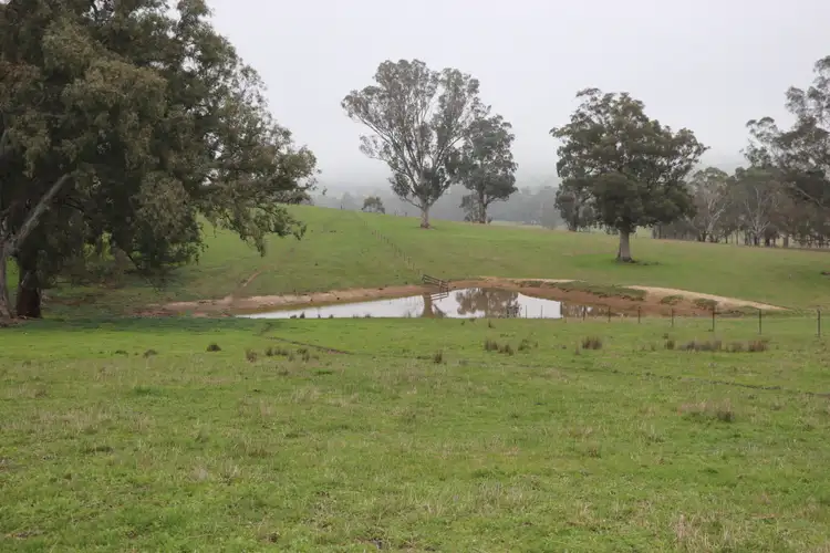 Main view of Homely rural property listing, 97 Frog Ponds Road, Murrindindi VIC 3717