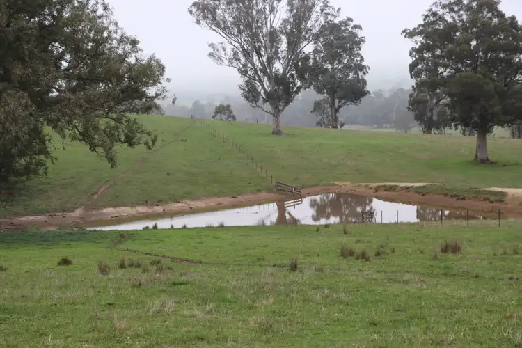 Third view of Homely rural property listing, 97 Frog Ponds Road, Murrindindi VIC 3717