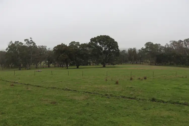 Fourth view of Homely rural property listing, 97 Frog Ponds Road, Murrindindi VIC 3717