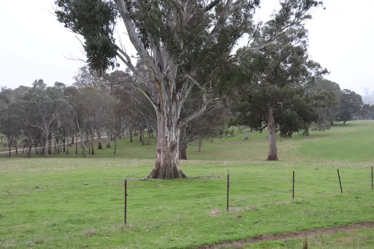 Fifth view of Homely rural property listing, 97 Frog Ponds Road, Murrindindi VIC 3717