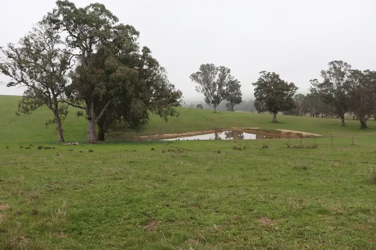 Sixth view of Homely rural property listing, 97 Frog Ponds Road, Murrindindi VIC 3717