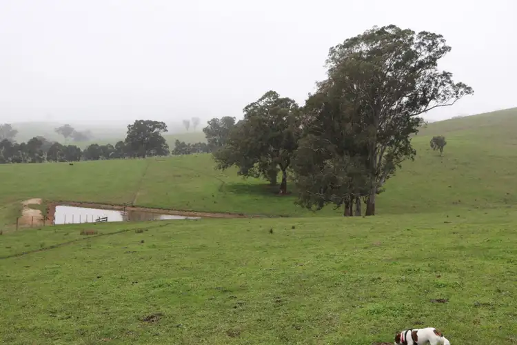 Seventh view of Homely rural property listing, 97 Frog Ponds Road, Murrindindi VIC 3717