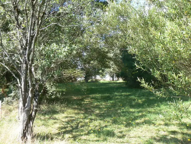 Fifth view of Homely rural property listing, 12-14 Lavers Hill-Cobden Road, Lavers Hill VIC 3238