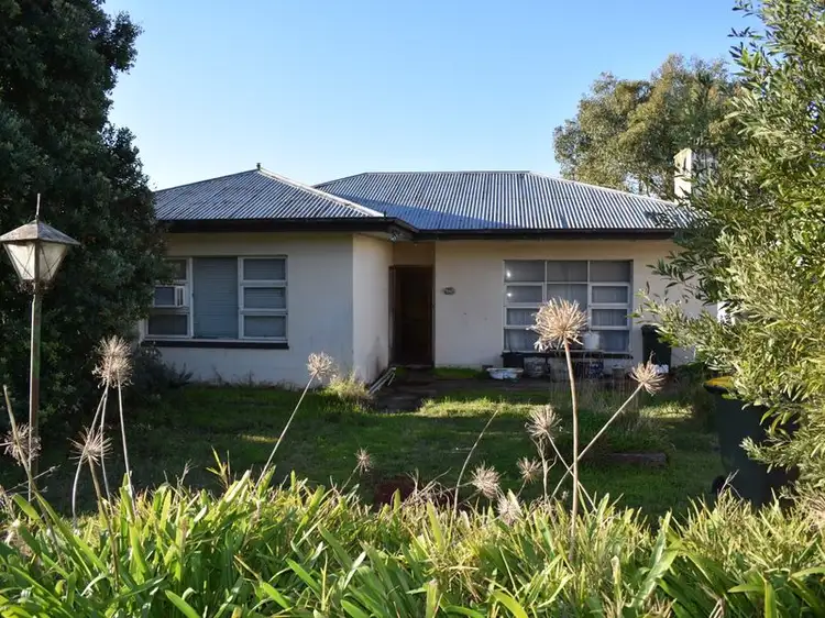 70 Williams Road, Millicent SA 5280