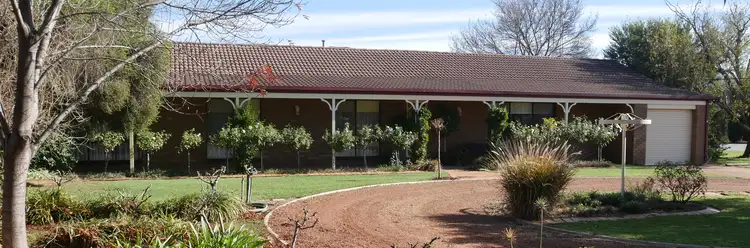 157 Petersham Road, Leeton NSW 2705