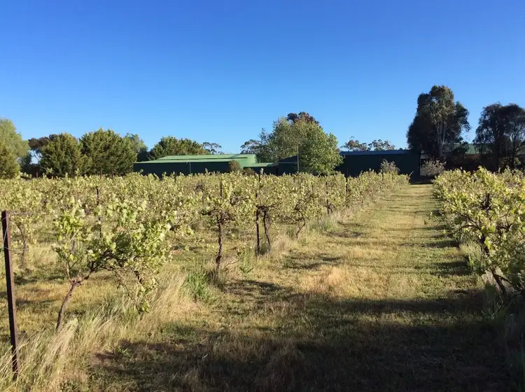Fourth view of Homely house listing, 1458 Kyneton-Metcalfe Road, Kyneton VIC 3444