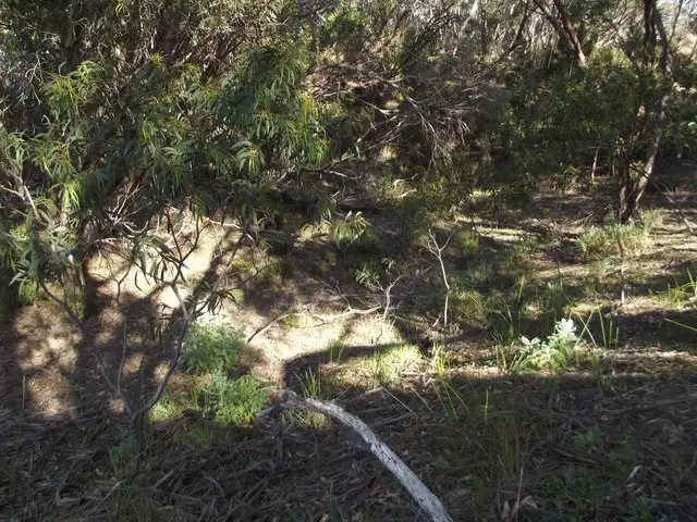 Second view of Homely land listing, LOT 208 Borda Road, Island Beach SA 5222