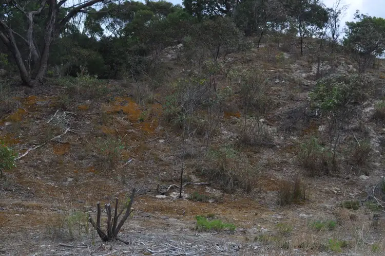 Fifth view of Homely land listing, LOT 208 Borda Road, Island Beach SA 5222
