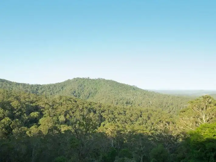 Third view of Homely rural property listing, 380 Cedar Hills Road, Little Forest NSW 2538