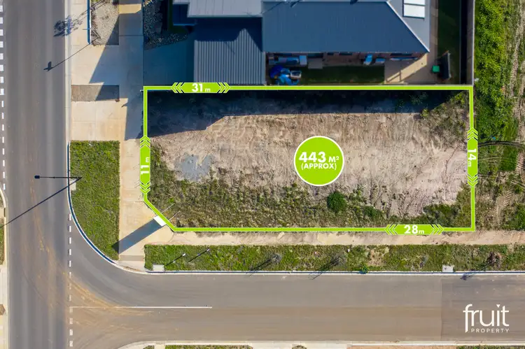 141 Merrijig Drive, Torquay VIC 3228
