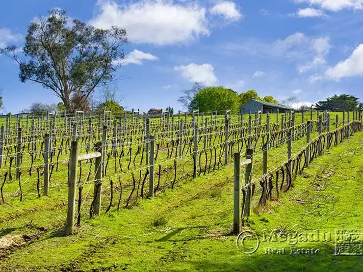 Fifth view of Homely rural property listing, 31 Phillip Road, Woori Yallock VIC 3139