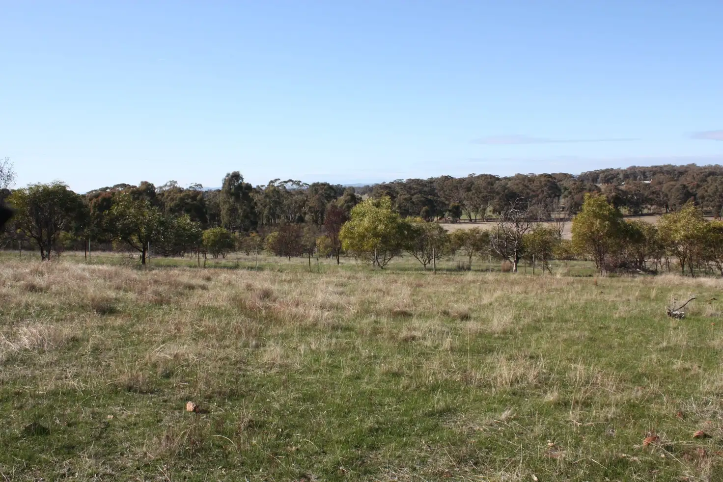 Main view of Homely land listing, 651 Basin Road, Tarnook VIC 3670