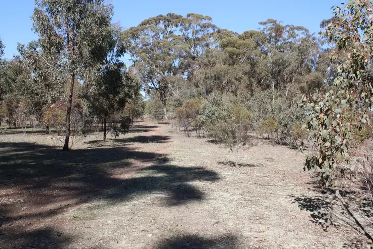 Third view of Homely land listing, 651 Basin Road, Tarnook VIC 3670