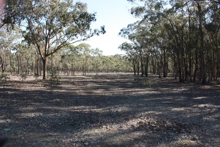 Fifth view of Homely land listing, 651 Basin Road, Tarnook VIC 3670