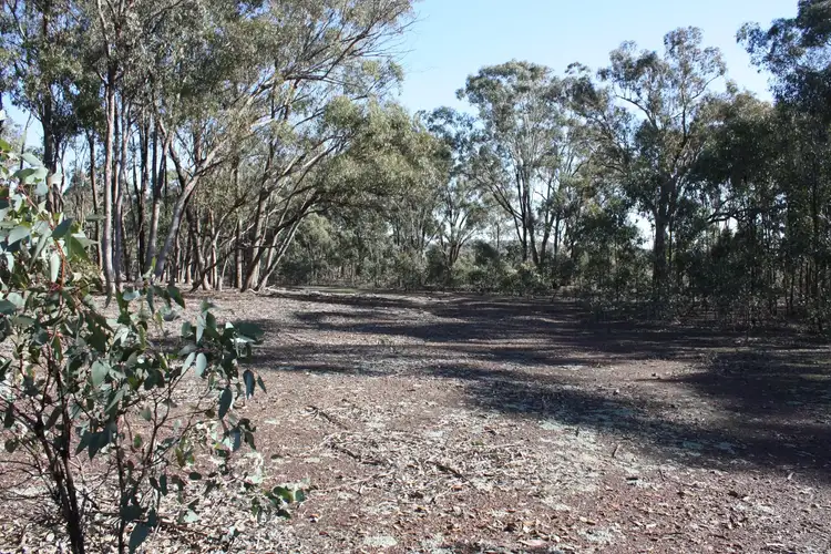 Sixth view of Homely land listing, 651 Basin Road, Tarnook VIC 3670