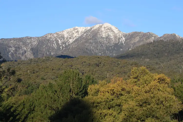 Main view of Homely land listing, 23 Alpine Ridge Drive, Merrijig VIC 3723