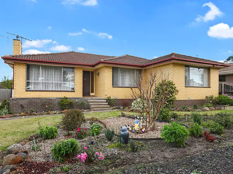 13 Stork Avenue, Belmont VIC 3216