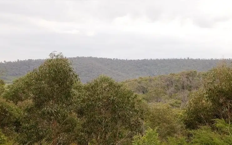 Second view of Homely rural property listing, 550 Old Toolangi Road, Dixons Creek VIC 3775