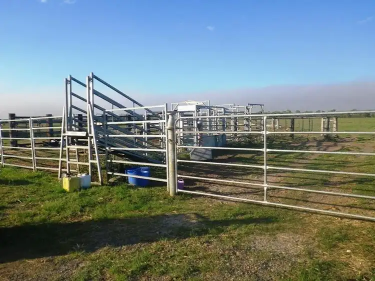 Sixth view of Homely rural property listing, 123 Tinaroo Creek Road, Mareeba QLD 4880