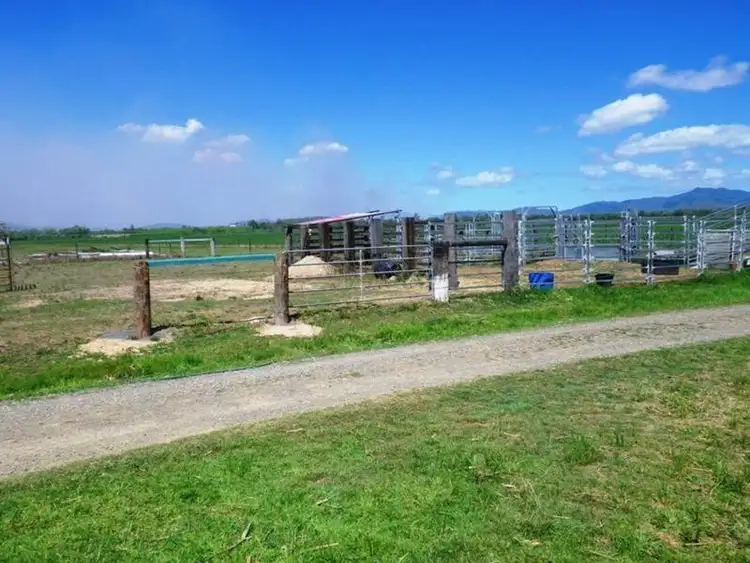 Seventh view of Homely rural property listing, 123 Tinaroo Creek Road, Mareeba QLD 4880