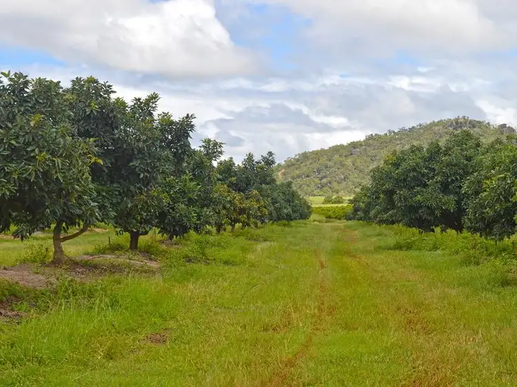 Fourth view of Homely rural property listing, 420 Chewko Road, Mareeba QLD 4880
