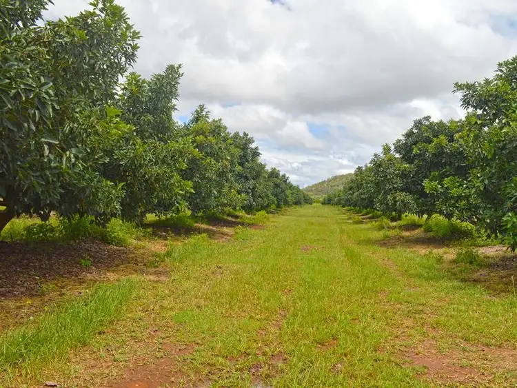 Seventh view of Homely rural property listing, 420 Chewko Road, Mareeba QLD 4880