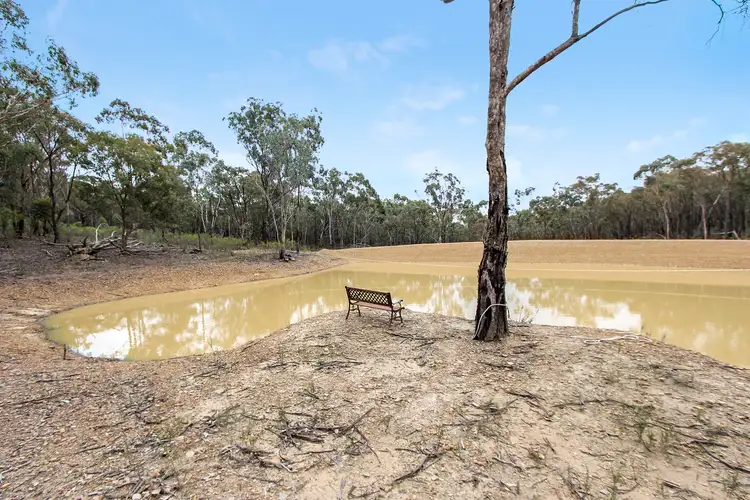 Fourth view of Homely rural property listing, 415 Youngs Lane, Tooborac VIC 3522