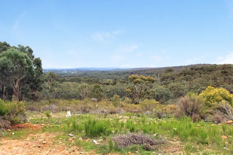 Fifth view of Homely rural property listing, 415 Youngs Lane, Tooborac VIC 3522