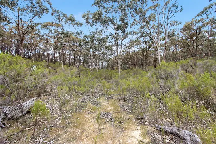 Sixth view of Homely rural property listing, 415 Youngs Lane, Tooborac VIC 3522