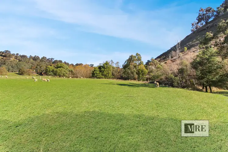 Main view of Homely land listing, LOT 38 Sawpit Gully Road, Bridge Creek VIC 3723