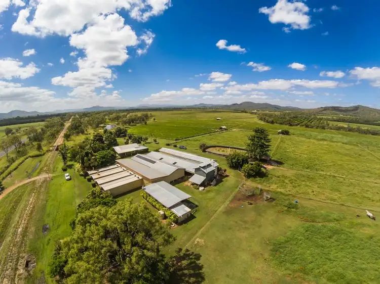 Main view of Homely rural property listing, 4173 Mareeba-Dimbulah Road, Mutchilba QLD 4872