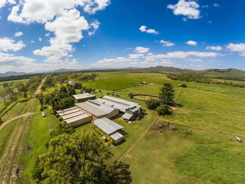 Main view of Homely rural property listing, 4173 Mareeba-Dimbulah Road, Mutchilba QLD 4872