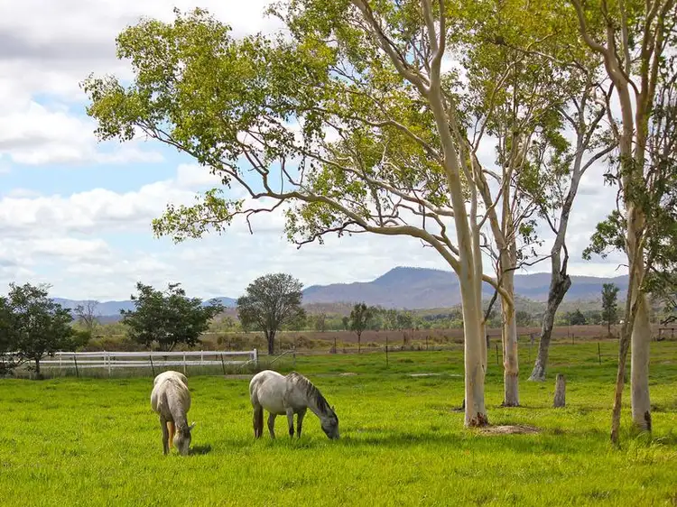 Fourth view of Homely rural property listing, 4173 Mareeba-Dimbulah Road, Mutchilba QLD 4872